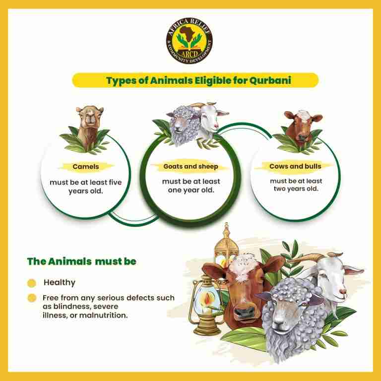 Types of Animals Eligible for Qurbani 1